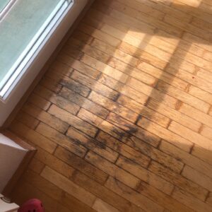 WhatsApp Image 2025-08-29 at 13.02.29 (1)