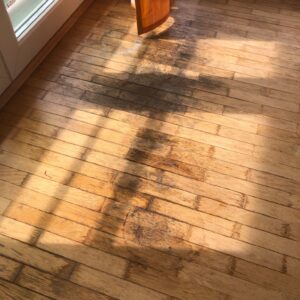 WhatsApp Image 2025-08-29 at 13.02.29